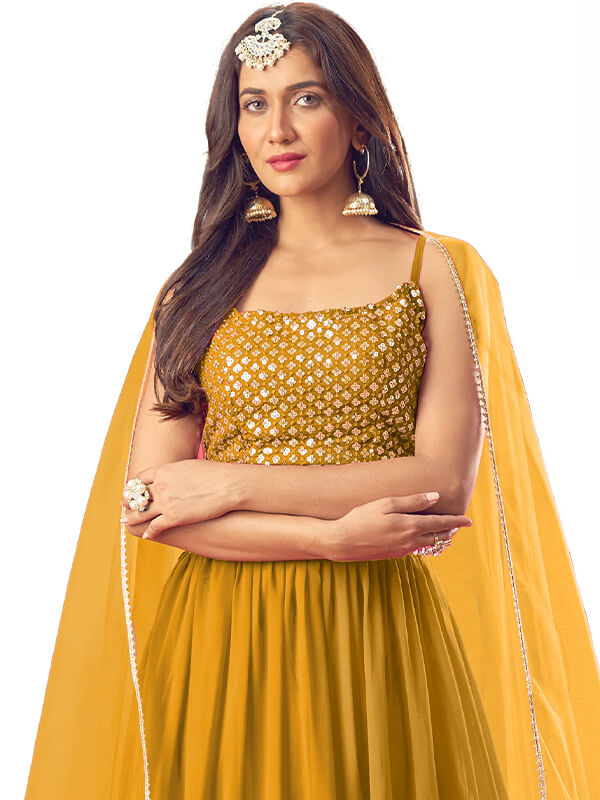 Embroidered Lehenga Choli